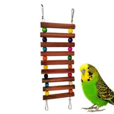 Bird Toys