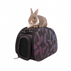 Carriers, Bags, & Harnesses