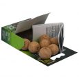 the_7_balls_b_