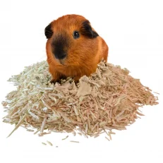 Bedding & Litter