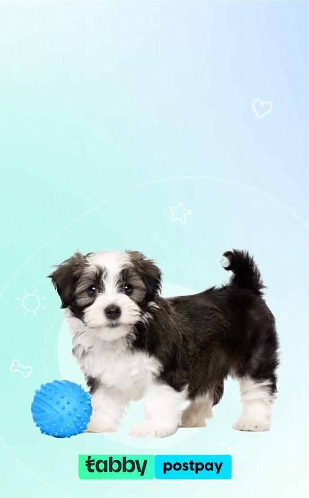 Pet Shop in Abu Dhabi