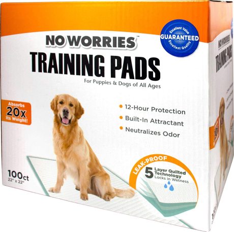 Four Paws No Worries 22X22 Inc Pads 1/100Ct Box Puppy Pads