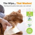 Nootie Waterless Shampoo Wipes – Cucumber Melon 70 count (3)