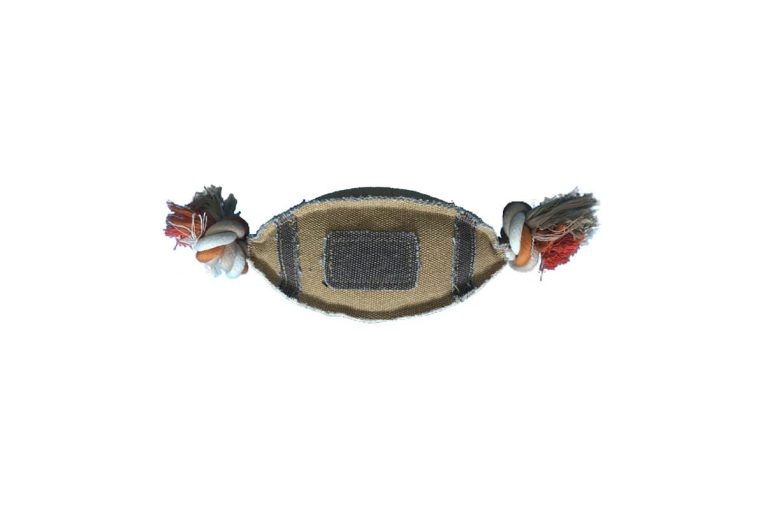 Nutrapet Football Dog Toy