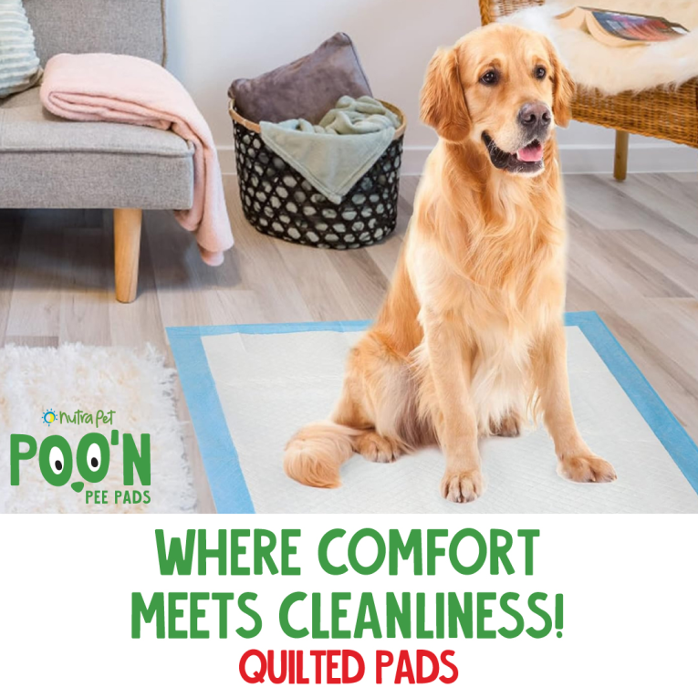 Nutrapet Poo N Pee Pads Original 60 Cms X 60 Cms 5 X Absorption With Floor Mat Stickers - 50 Count Large Puppy Pads (3)