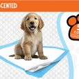 Nutrapet Poo N Pee Pads Xl Non-scented - Fast Absorption With Floor Mat Stickers (60x90cms) - 50 Count Puppy Pads (6)
