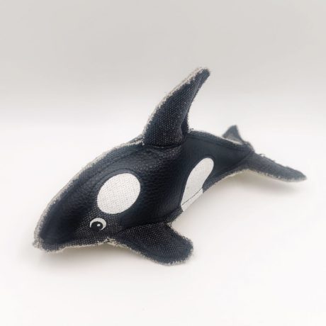 Nutrapet The Largest Whale