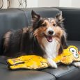 Outward Hound Floppyz Chicken Ylw LG1