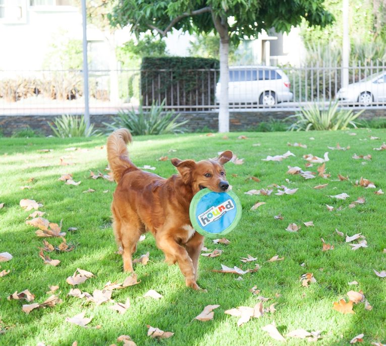 Outward Hound Soft Fetch Flyer Blu LGm