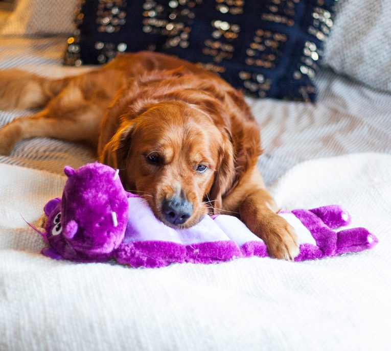 Outward Hound Squeaker Palz Hippo Purple Large1