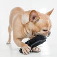Outward Hound Tough Seamz Rhino Gry MD1