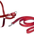 PET SAFE EASY WALK HARNESS SMALL RED ROHS