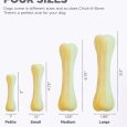 Pet Stages Chick-A-Bone LG1