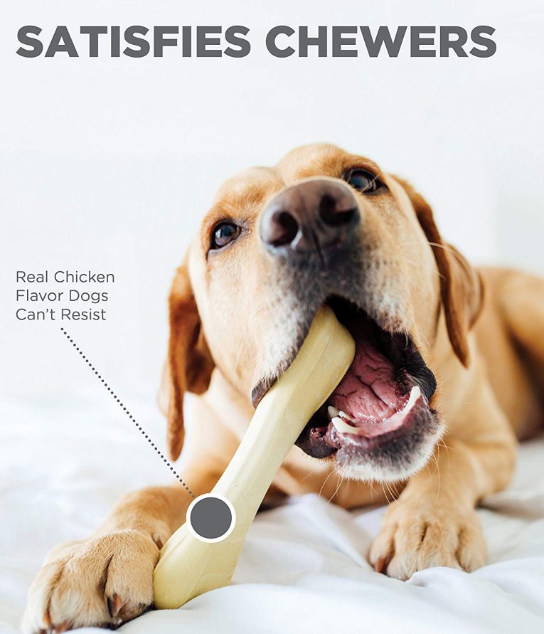 Pet Stages Chick-A-Bone LG2