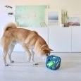 Pet Stages Puzzle Cube Blue1