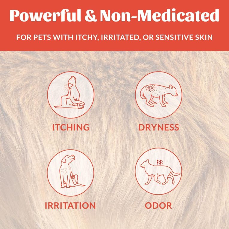 Skouts Honor Probiotic Itch Relief Shampoo 475ML_16Oz Pet Essentials & Wellness (2)