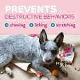 TropiClean Chew Stop Behavior Aid Puppy Spray, 8oz (5)