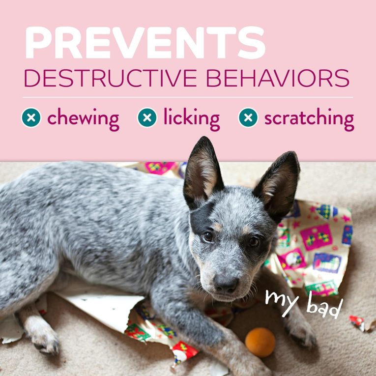 TropiClean Chew Stop Behavior Aid Puppy Spray, 8oz (5)