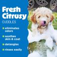TropiClean Lime & Cocoa Butter Shed Control Conditioner for Pets, 20oz