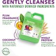 TropiClean Pure Plum High Concentrate Shampoo for Pets, 1 gallon