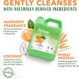 TropiClean Sweet Mandarin High Concentrate Shampoo for Pets, 1 gallon (1)