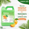 TropiClean Sweet Mandarin High Concentrate Shampoo for Pets, 1 gallon (2)