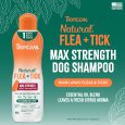 Tropiclean Natural Flea & Tick Shampoo - Maximum Strength for Dogs - 20 oz (1)