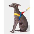 VETRESKA Chroma Pet Harness & Leash Set-Yellow (M)