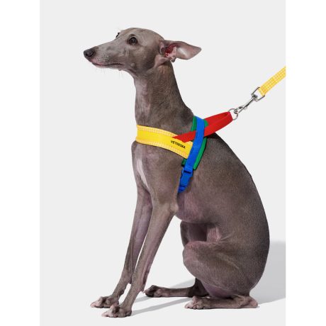 Vetreska Chroma Pet Harness & Leash Set-yellow (M)