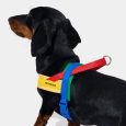 VETRESKA Chroma Pet Harness & Leash Set-Yellow (M) (8)