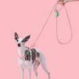 Vetreska Connect Hands-free Rope Leash For Pets (Flora) (1)