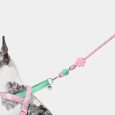 Vetreska Connect Hands-free Rope Leash For Pets (Flora) (10)