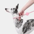 Vetreska Connect Hands-free Rope Leash For Pets (Flora) (12)