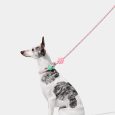 Vetreska Connect Hands-free Rope Leash For Pets (Flora) (9)
