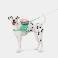 Vetreska Flora Pet Backpack & Harness 3 In 1 Set (Xxs)...
