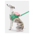 Vetreska Flora Pet Backpack & Harness 3 In 1 Set (Xxs)