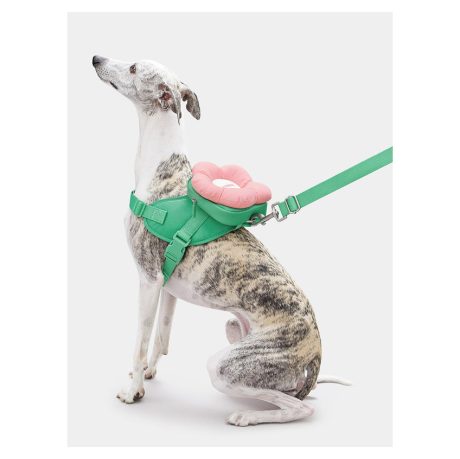 Vetreska Flora Pet Backpack & Harness 3 In 1 Set (XXS)