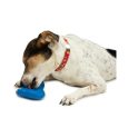busy-buddy-chilly-penguin-freezer-toy-small-4