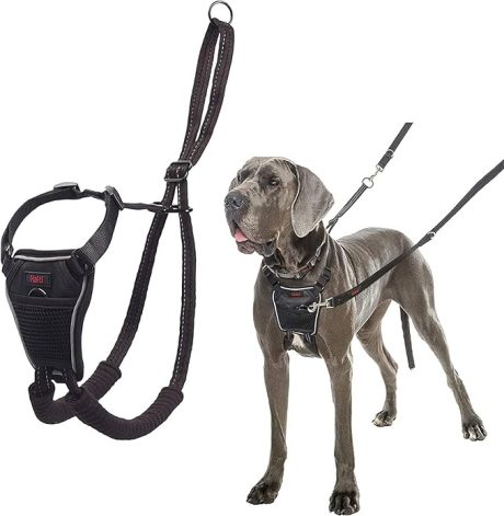 COA Halti No Pull Harness Large