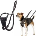 coa-halti-no-pull-harness-small