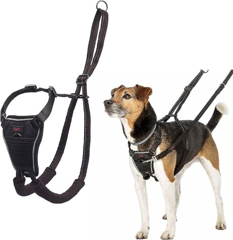 COA Halti No Pull Harness Small