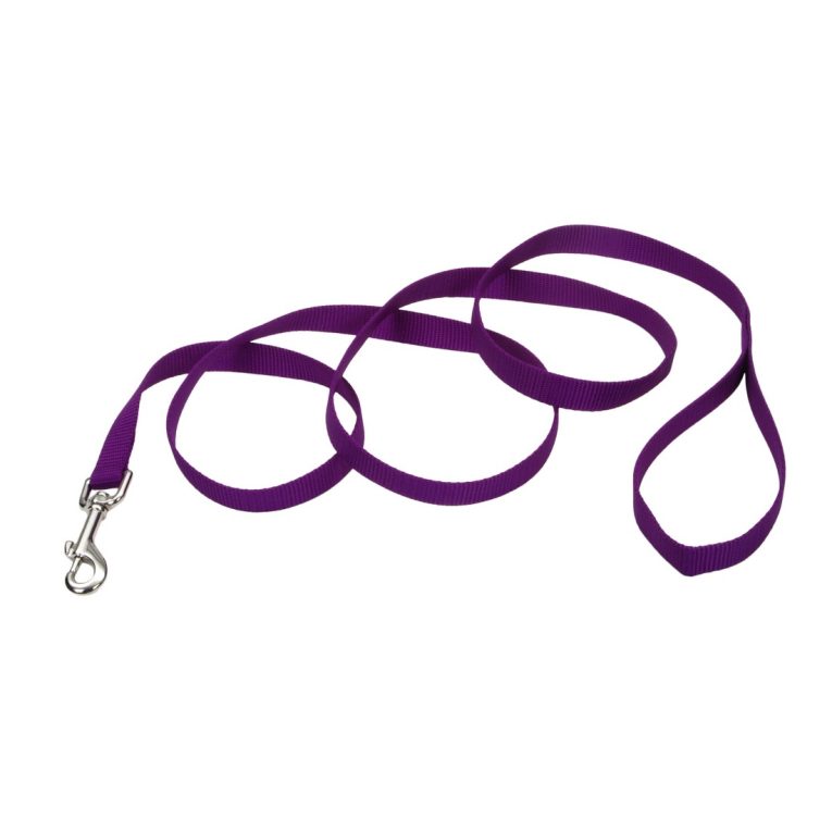 coastal-1-and-dog-lead-purple-4-feet-long-1-and-wide