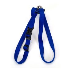 Coastal 1 and Size Right Harness Large Blue