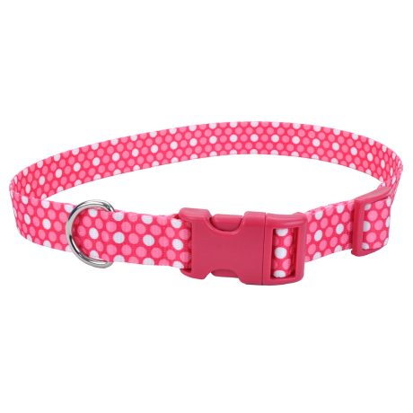 Coastal 1 andAttire Dog Collar Pink Dots Large