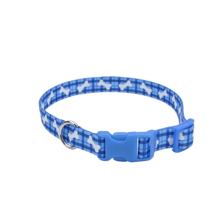 coastal-1-andattire-dog-collar-purple-black-with-white-bone-large