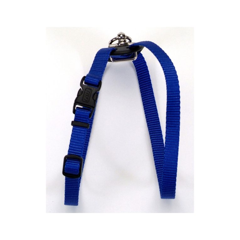 coastal-3-4-and-size-right-harness-medium-blue