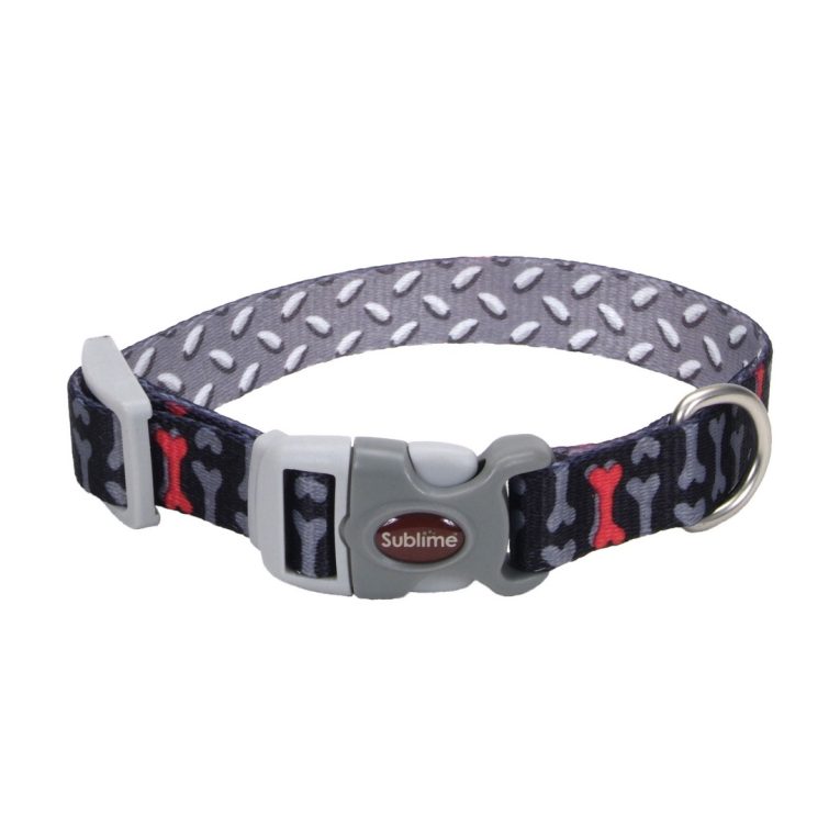 coastal-3-4-and-sublime-dog-collar-bone-metal-plate-small-medium