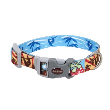 Coastal 3 4 and Sublime Dog Collar Surf,Sun and Beach Small Medium
