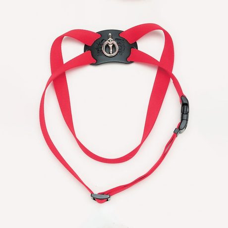 Coastal 3 and Size Right Harness X-Small Red