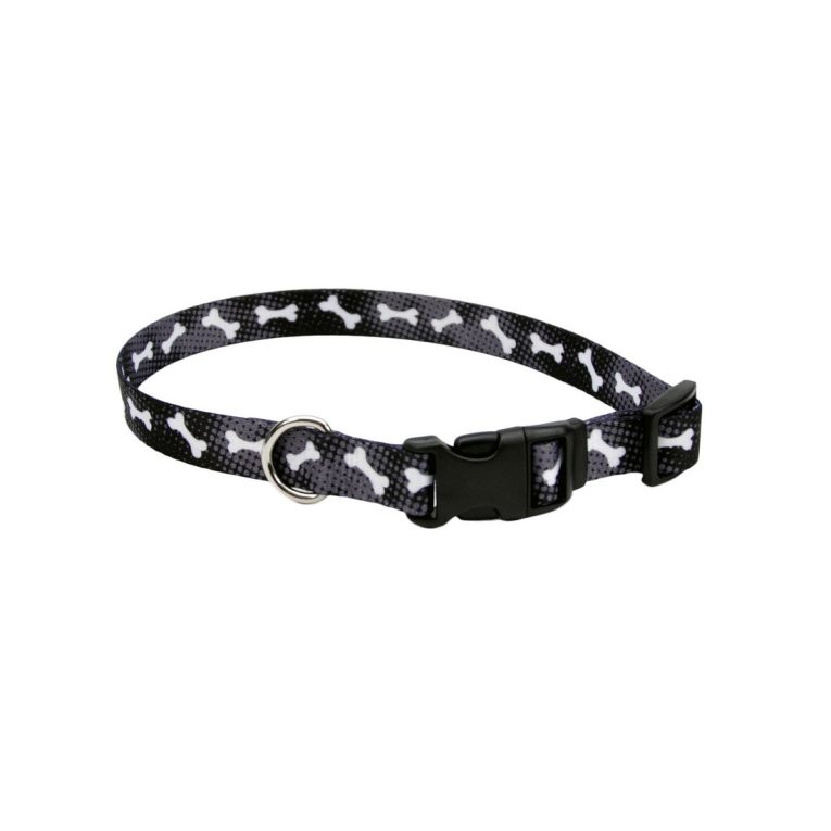coastal-3-andattire-dog-collar-black-bone-small-med